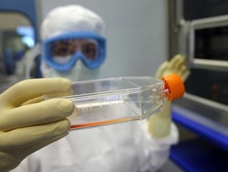 Energia a “costo zero”
con le batterie biologiche