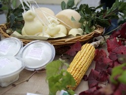 Varese boccia il ministro “Il pranzo serve slow”