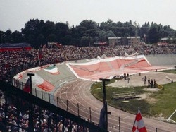 “Ecco i lavori per lo stadio” Ora la parola alla giunta