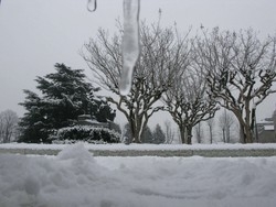 Busto, la stazione ora vuole sognare