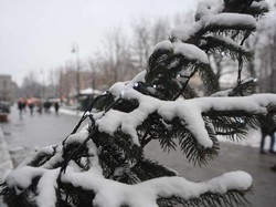 Arriva il freddo, torna l’inverno Luned&igrave; attesa neve in pianura