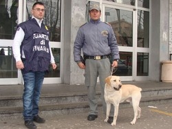 Blitz antidroga a scuola Gdf all’Isis con i cani