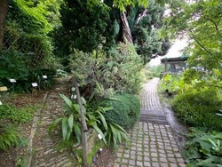 Piante grasse Al via un corso