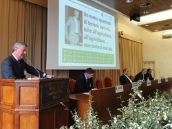 Prezzi in caduta libera Agricoltori in allarme