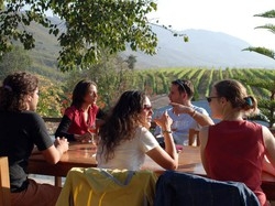 A spasso per cascine, da domenica assaggi e visite guidate