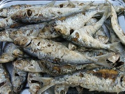 Fritto misto e golosit&agrave; di mare a rischio I pescatori trattano con Bruxelles