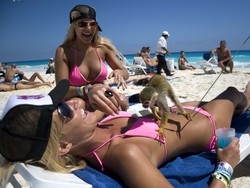 Vacanze tutte a portata web Prenotano 1,3 milioni di italiani