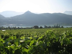 Strada del vino: in vacanza a Caldaro