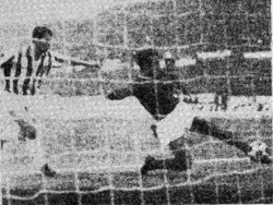 La Juve a Masnago? Bello Ma il Varese non lo sapeva