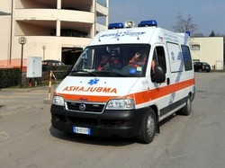 Pap&agrave; muore schiacciato
mentre taglia un albero