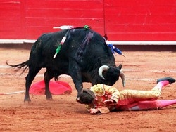 Tori salvi in Catalogna La corrida va in archivio