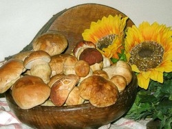 A settembre torna Fungolandia tra degustazioni e passeggiate