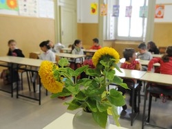 La Gelmini revoca la parit&agrave; alla Montessori di Varese