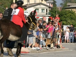 Varese, sul palio degli asini &egrave; bufera tra rione e Lav