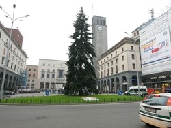 Varese, un albero finto per piazza Monte Grappa?