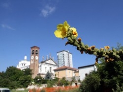 Il cuore di Busto soffoca “Salviamo San Michele”