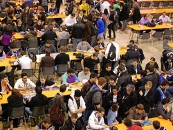 Card mania a Malpensafiere Da New York a Busto per giocare