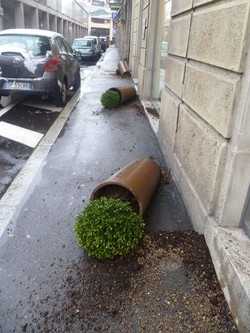 Varese, ancora blitz dei vandali Via Mazzini, fioriere devastate
