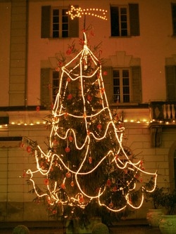 Ecco le dieci regole d’oro per un vero albero di Natale