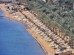 Turista divorata da uno squalo Incubo sulle vacanze a Sharm