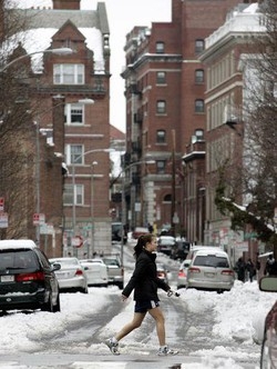 Università, Harvard la migliore: Bologna 192esima, prima italiana