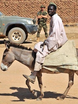 Darfur; Farnesina: ancora nessun contatto con rapiti