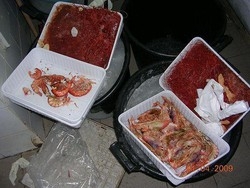 Alimenti; Mazara, sequestrati 850 kg gamberi rossi da Mozambico