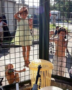 Immigrati; 60% minori sbarcato a Lampedusa fuggito da comunità