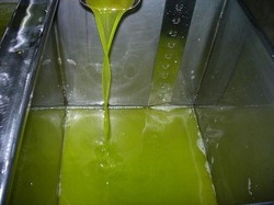 Da oggi stop a truffe, olio ha etichetta made in Italy