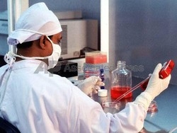 Scoperta in Usa tecnica per attaccare cellule staminali tumorali