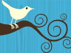Usa/ Con Twitter informò manifestanti di posti blocco, arrestato
