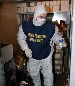 Alimenti/ Forestale: In otto mesi reati a +166,7%, 45 le denunce