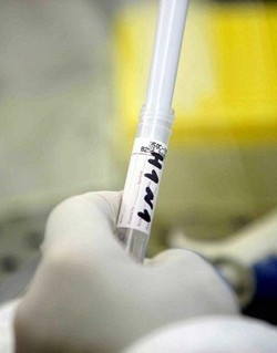 Nuova influenza/ Iss: 1,5 mln i contagiati, soprattutto bambini