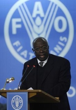 Fame/ Al via domani vertice mondiale Fao su sicurezza alimentare