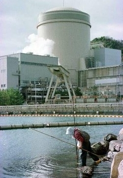 Nucleare, Corsera: governo guarda al Veneto per prima centrale
