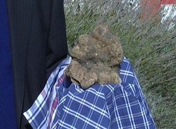 All’asta domani a Roma il tartufo più grande dell’anno:900 grammi