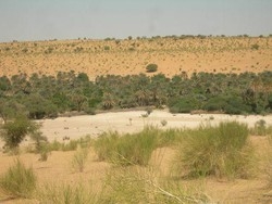 Mauritania/ Madrid assicura sostegno a Roma per ricerche