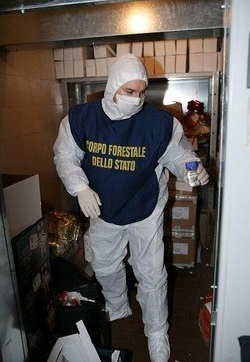 Alimenti/Forestale blocca 2mila confezioni di propoli contaminate