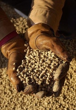 Friuli/Radiazioni oltre limiti:sequestrate 23 t. pellets ucraini