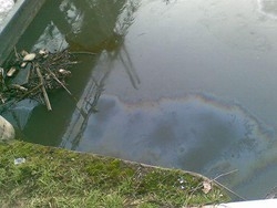 Ambiente/ Onda nera del Lambro ha raggiunto il Po nel parmense