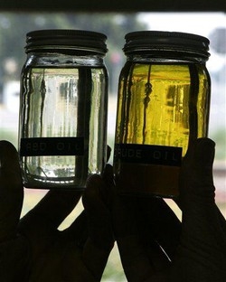 Alimenti/ Olio,Nas: -35% frodi dopo obbligo indicazione d’origine