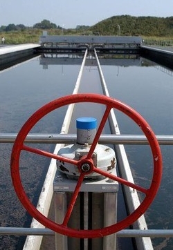 Acqua/Centinaia in piazza contro privatizzazione, corteo dalle 14