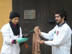 Ambiente/ Wwf denuncia: mancano i fondi per bonifica del Lambro