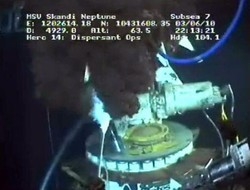 Marea nera/ Bp: imbuto riesce a catturare “gran parte” greggio
