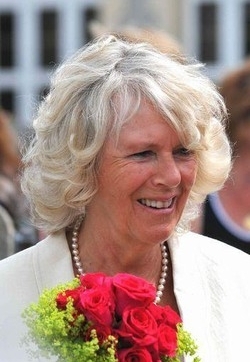 Gb/ Camilla si converte al lifting “organico” al veleno di api