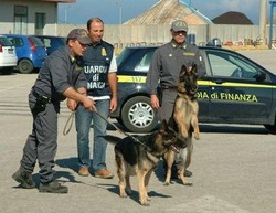 Mafia/ Blitz a Crotone:sequestro da 20 mln,arrestato imprenditore