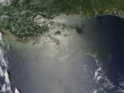 Marea nera/ Bp ha utilizzato troppi solventi tossici