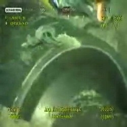 Marea nera/ Bp annuncia: siamo riusciti a tappare pozzo