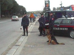 Roma, è boom droga ‘fai da te’:scoperte 4 piantagioni,10 arresti