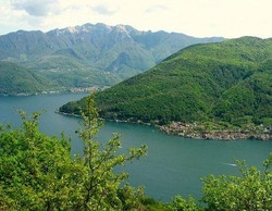 Svizzera/ Campagna anti-ratti stranieri, governo Ticino condanna